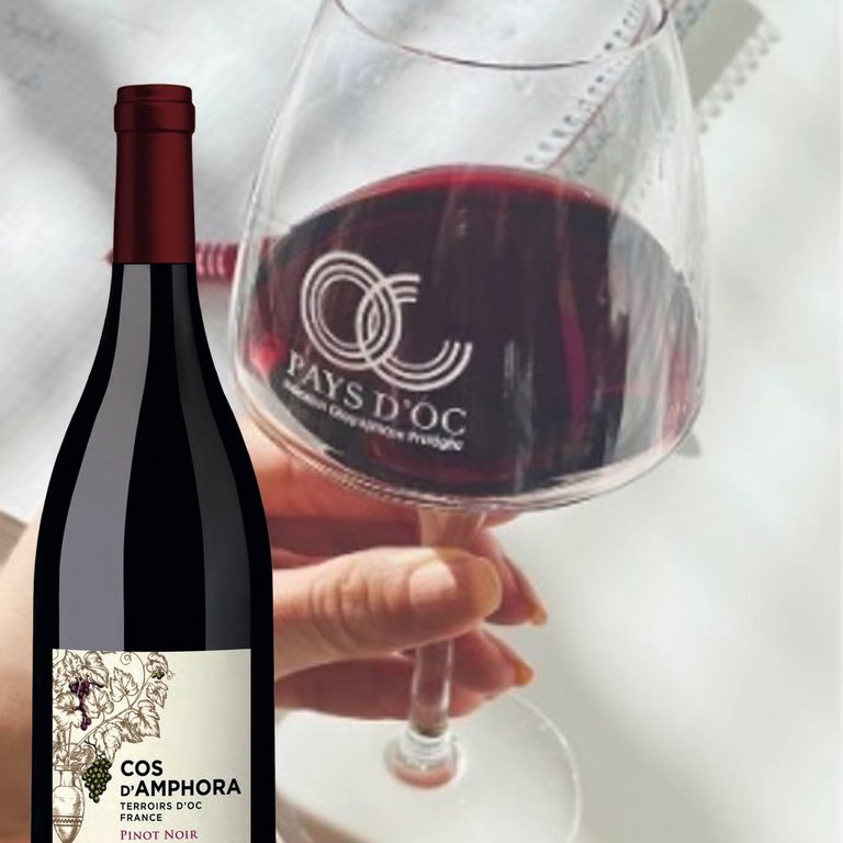 Cos d'Amphora Pinot Noir Rotwein IGP d'OC