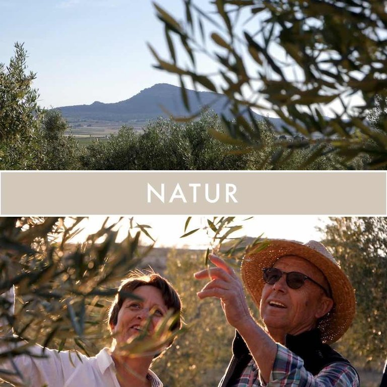 Bio Olivenöl DeOrtegas Sexta Esencia