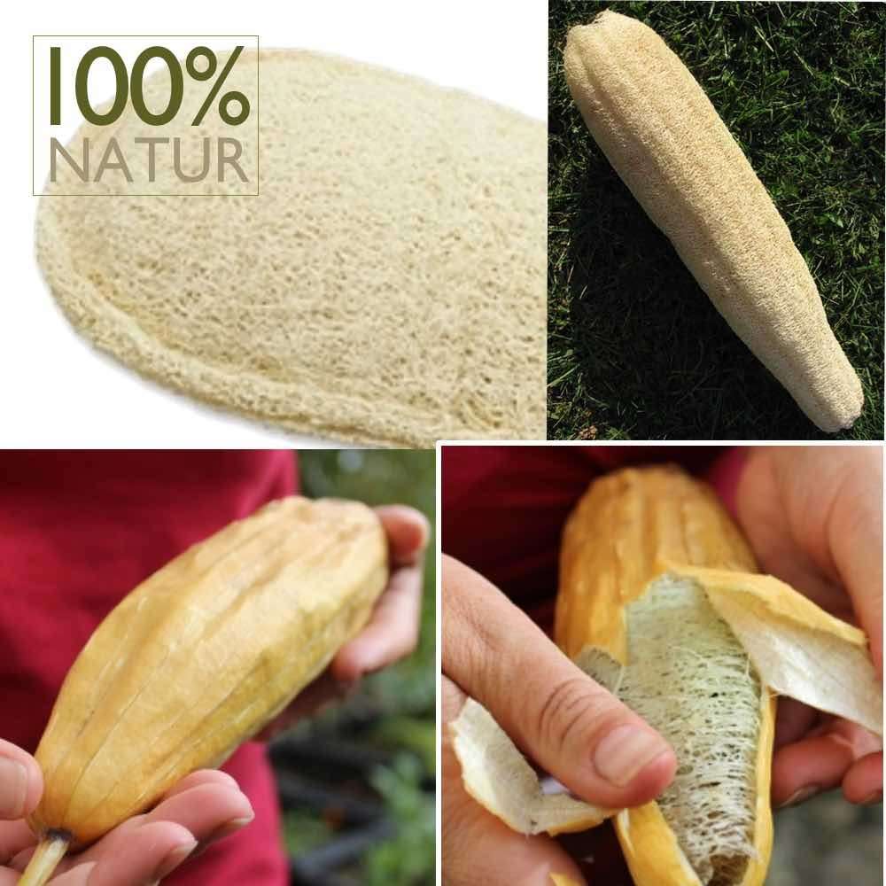 Luffa Seifenablage 4-lagig