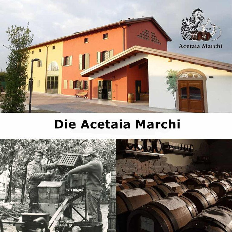 Marchi Aceto Balsamico di Modena IGP Invecchiato Oro 250 ml