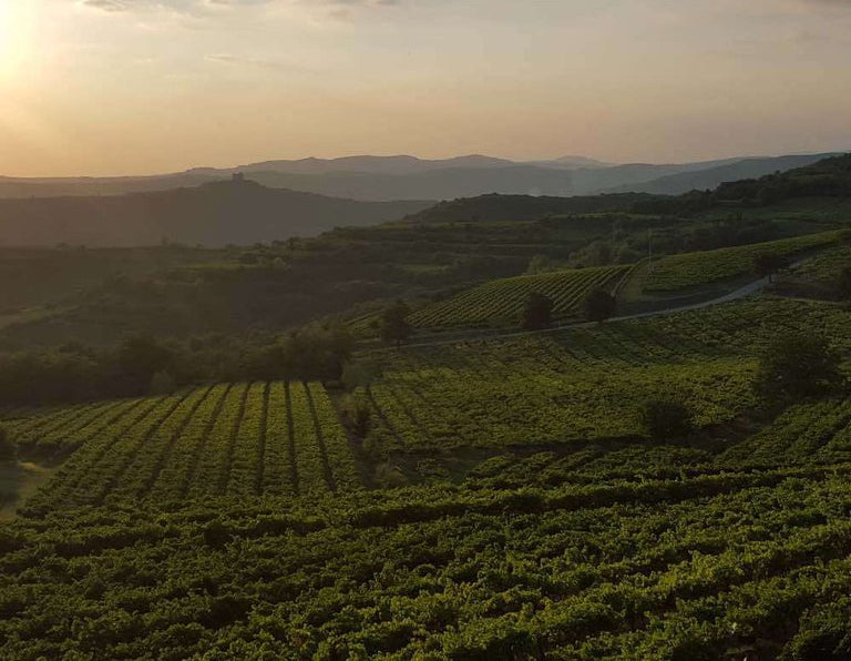 Bennati LIBET SOAVE Classico DOC Venetien