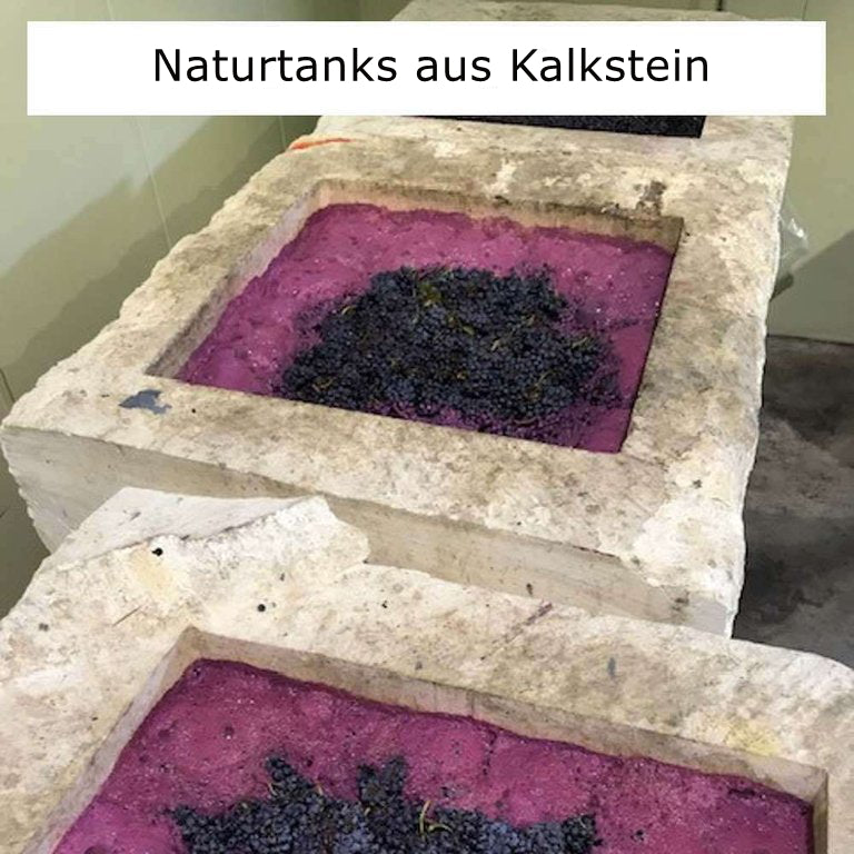 Garnacha Rotwein "Cauro Ventum" - Bodegas Saura