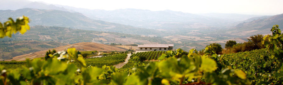 Nero d'Avola BIO IGP Di Giovanna