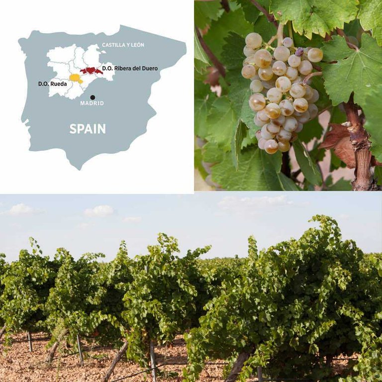 Tres Pilares Sauvignon D.O.