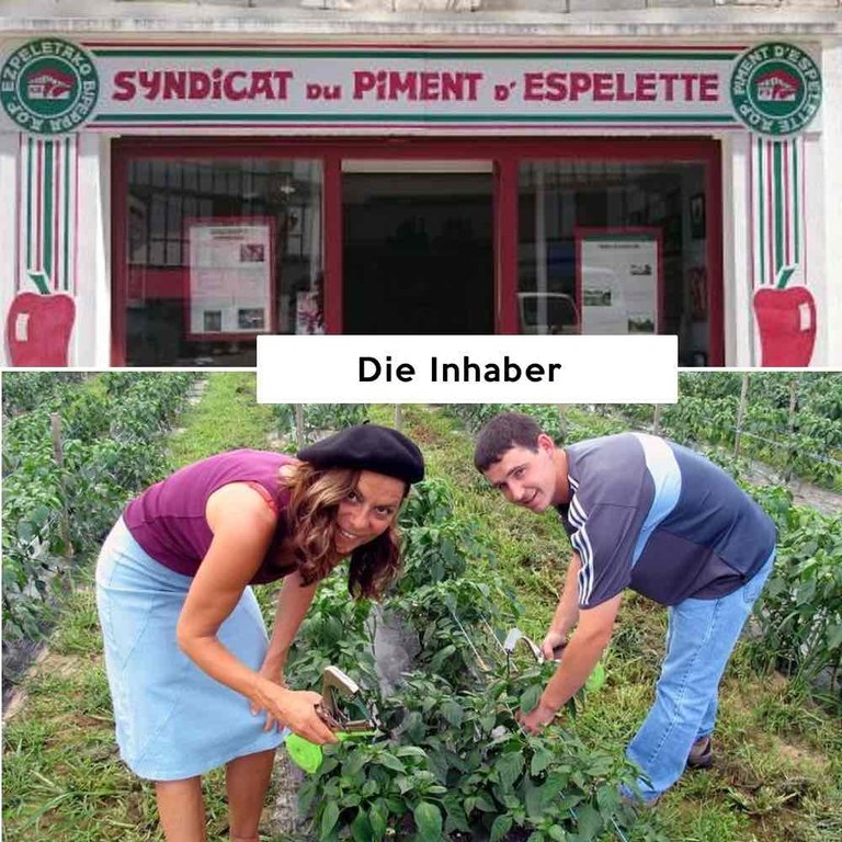Piment d'Espelette Original Chili-Pulver AOP 40gr