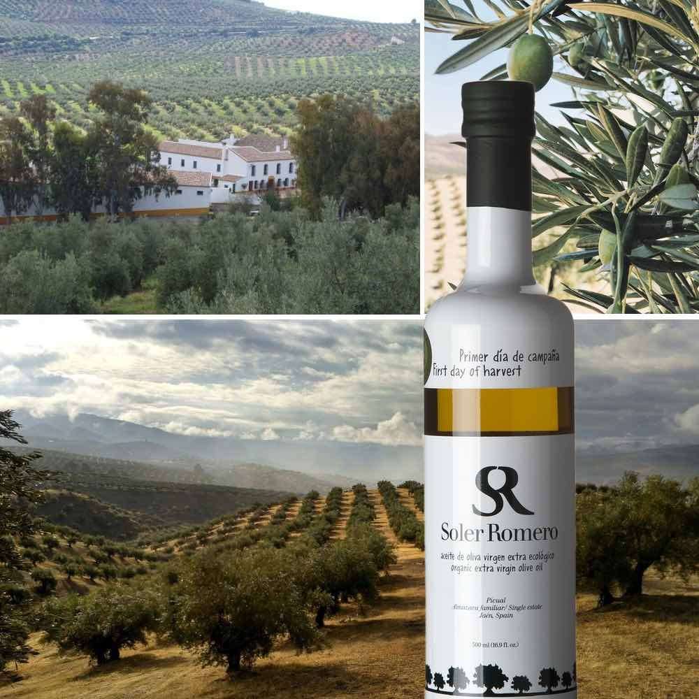 Soler Romero Picual Olivenöl Edition First Day