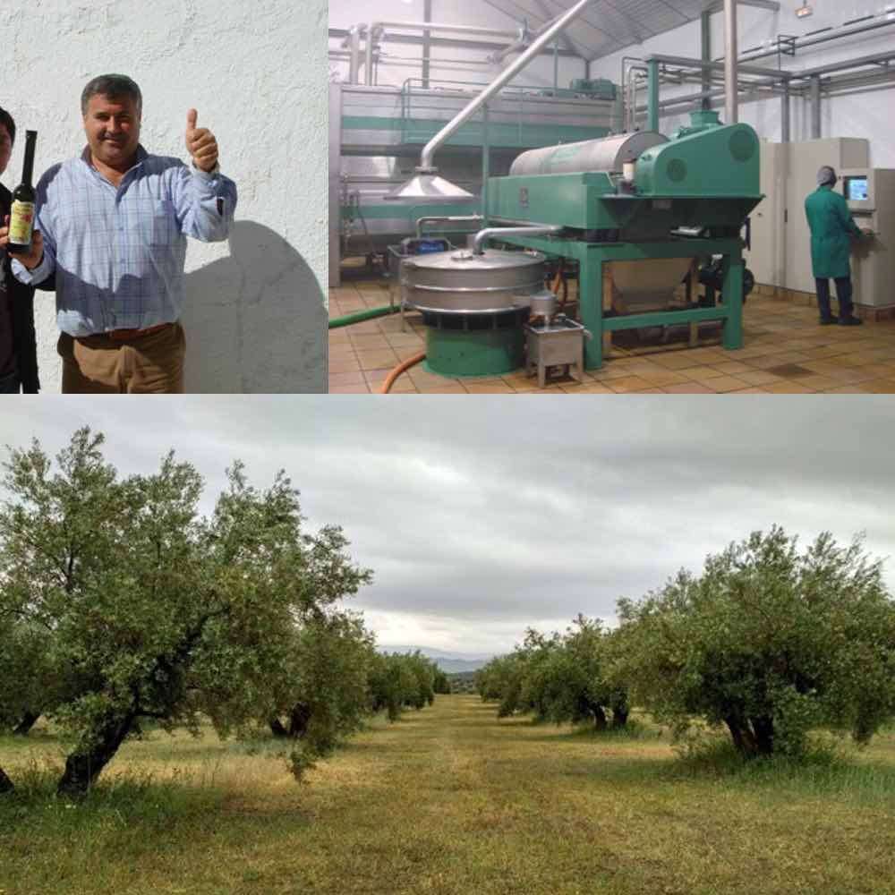 Soler Romero Picual Olivenöl Edition First Day
