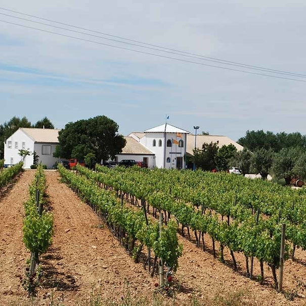 Premium Bio Sekt Pago de Tharsys Brut Nature D.O. Cava
