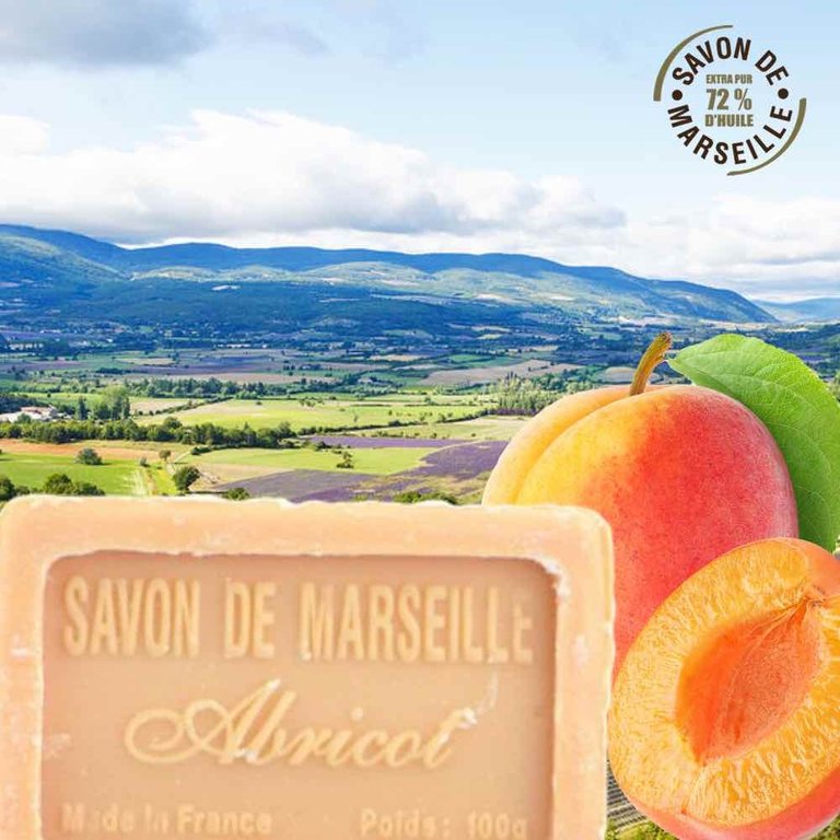 Savon de Marseille APRIKOSE 100gr - Provence
