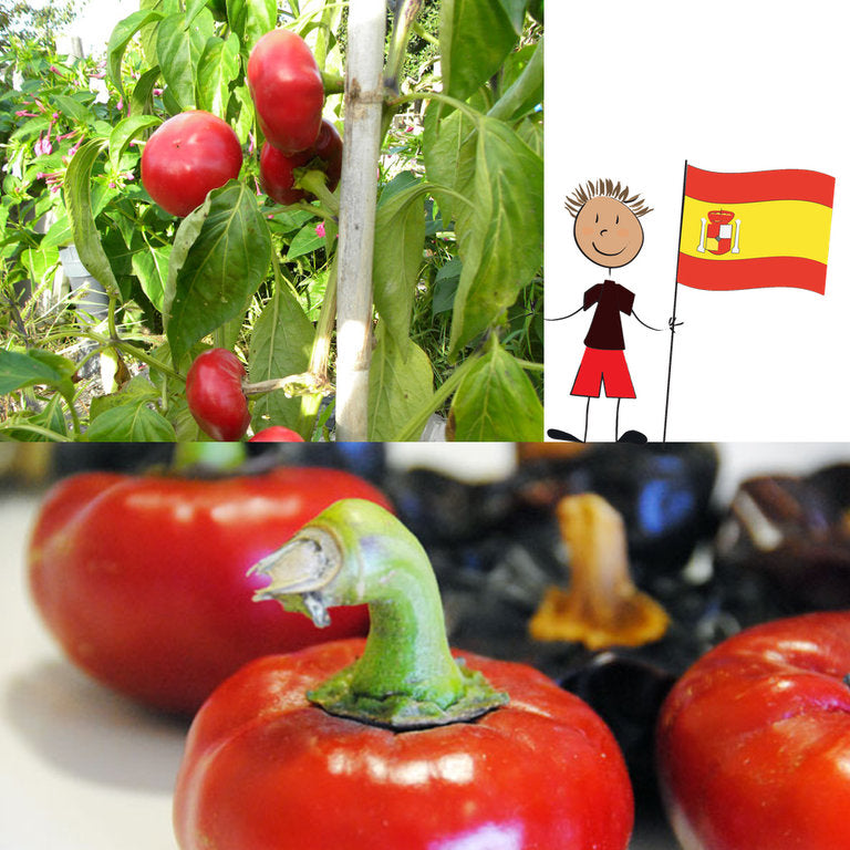 Pimentón de la Vera - Paprika geräuchert - 80gr