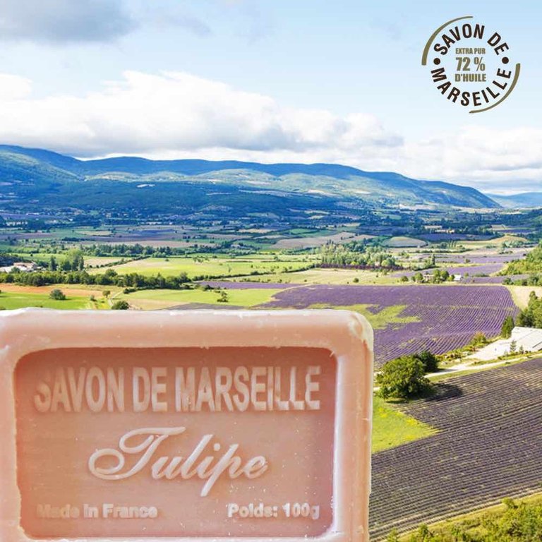 Savon de Marseille TULPE 100gr - Provence