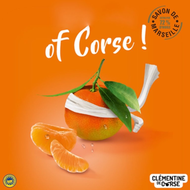 BIO-Flüssigseife Korsische Clementine 1L Nachfüllpackung