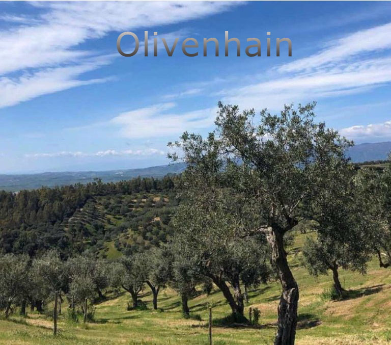 TESTSIEGER Bio Olivenöl La Valle Don Ciccio