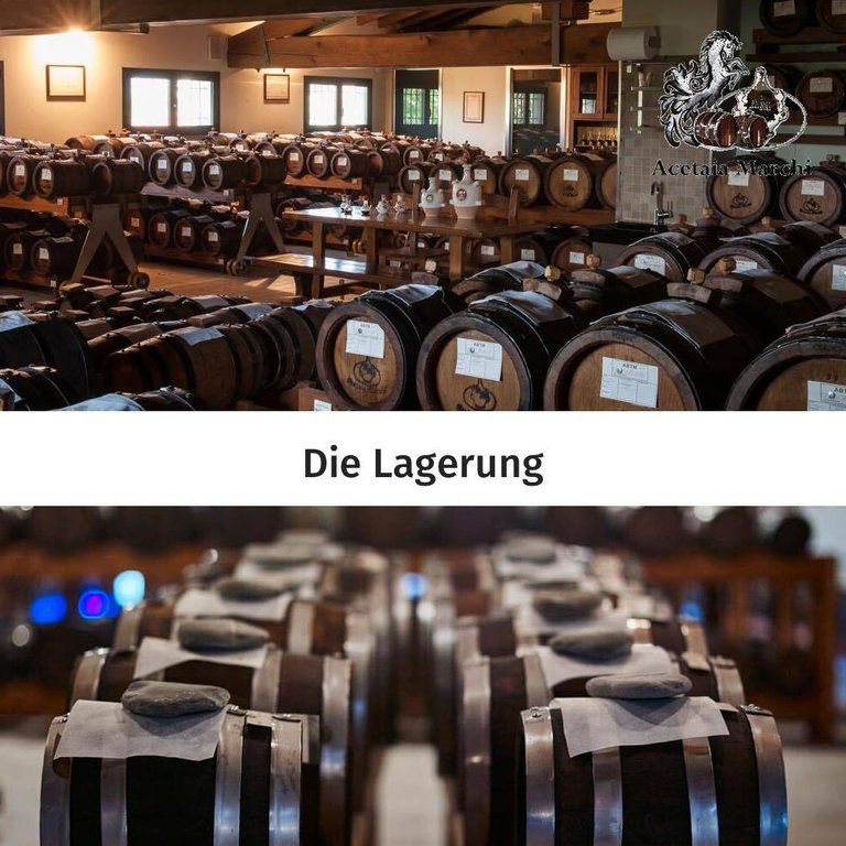 Marchi weißer Balsamico Essig Aceto bianco
