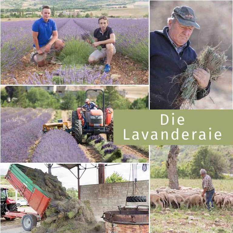 Marseiller Seife Minze Haute Provence