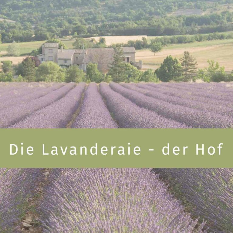 Marseiller Seife Rote Früchte 100gr Haute Provence