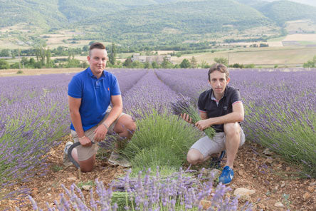 Marseille Seife Lavendel 100g Haute Provence