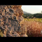 Bio Rotwein Les Perpetus AOP Luberon (2019)