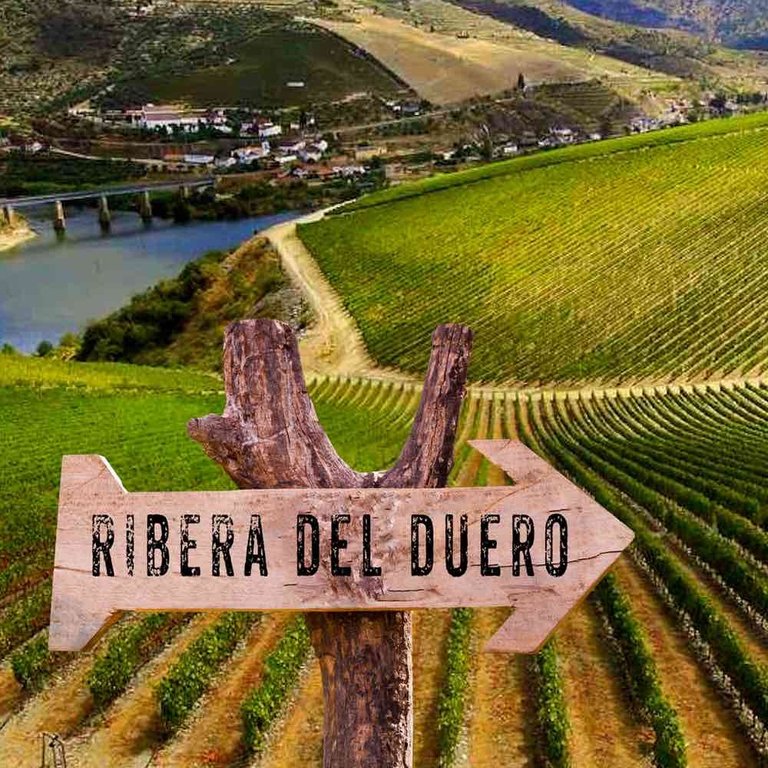 Finca Meryos Tempranillo Roble Ribera del Duero