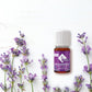 Ätherisches Lavendelöl 10ml Lavandin Haute Provence